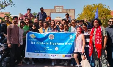 Captive Elephants Deserve a Life Free of Suffering and Cruelty Demands World Animal Protection Supporters on World Wildlife Day