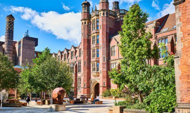 When sticky becomes unsticky – the invention of reversible glue