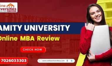 Amity University Online MBA Review
